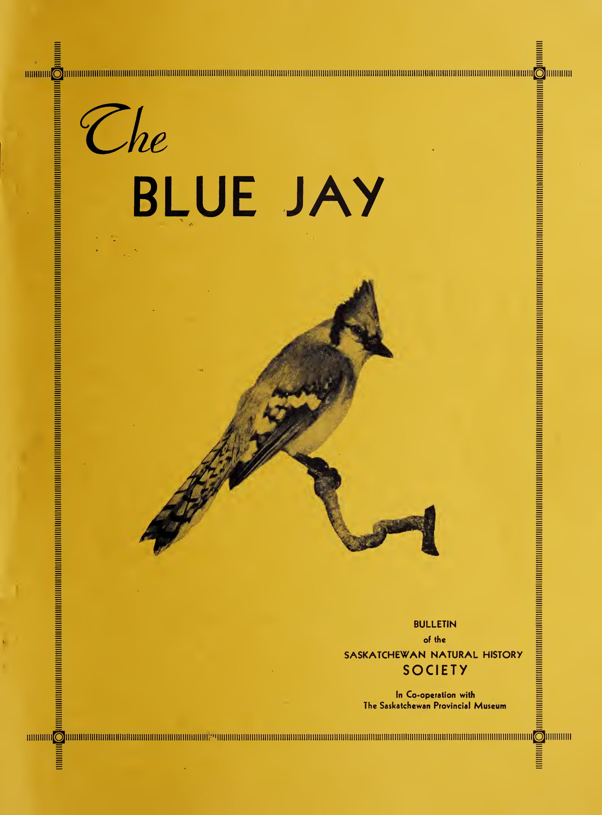 Cover Image for Summer 1950