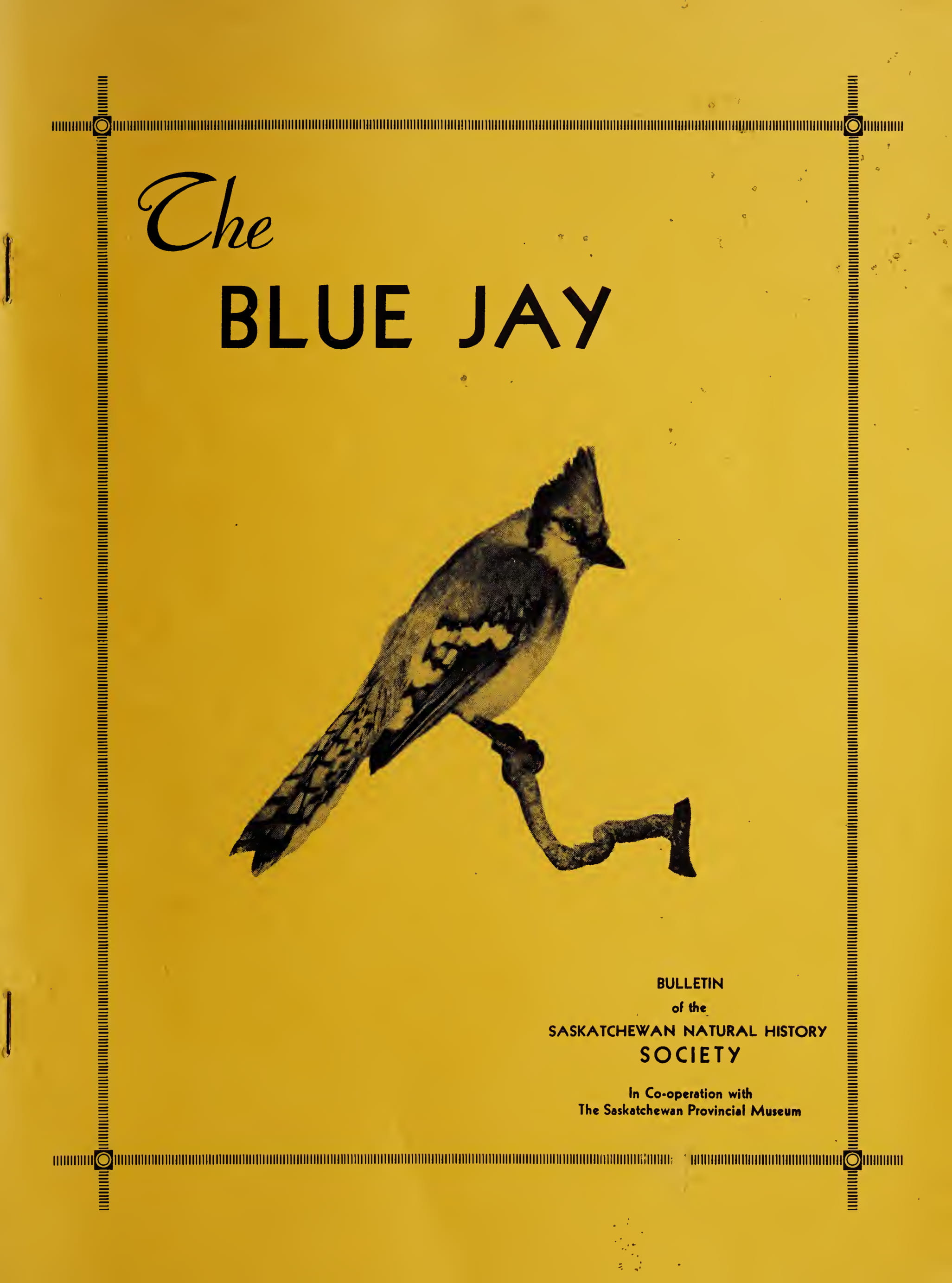 Cover Image for Fall 1950