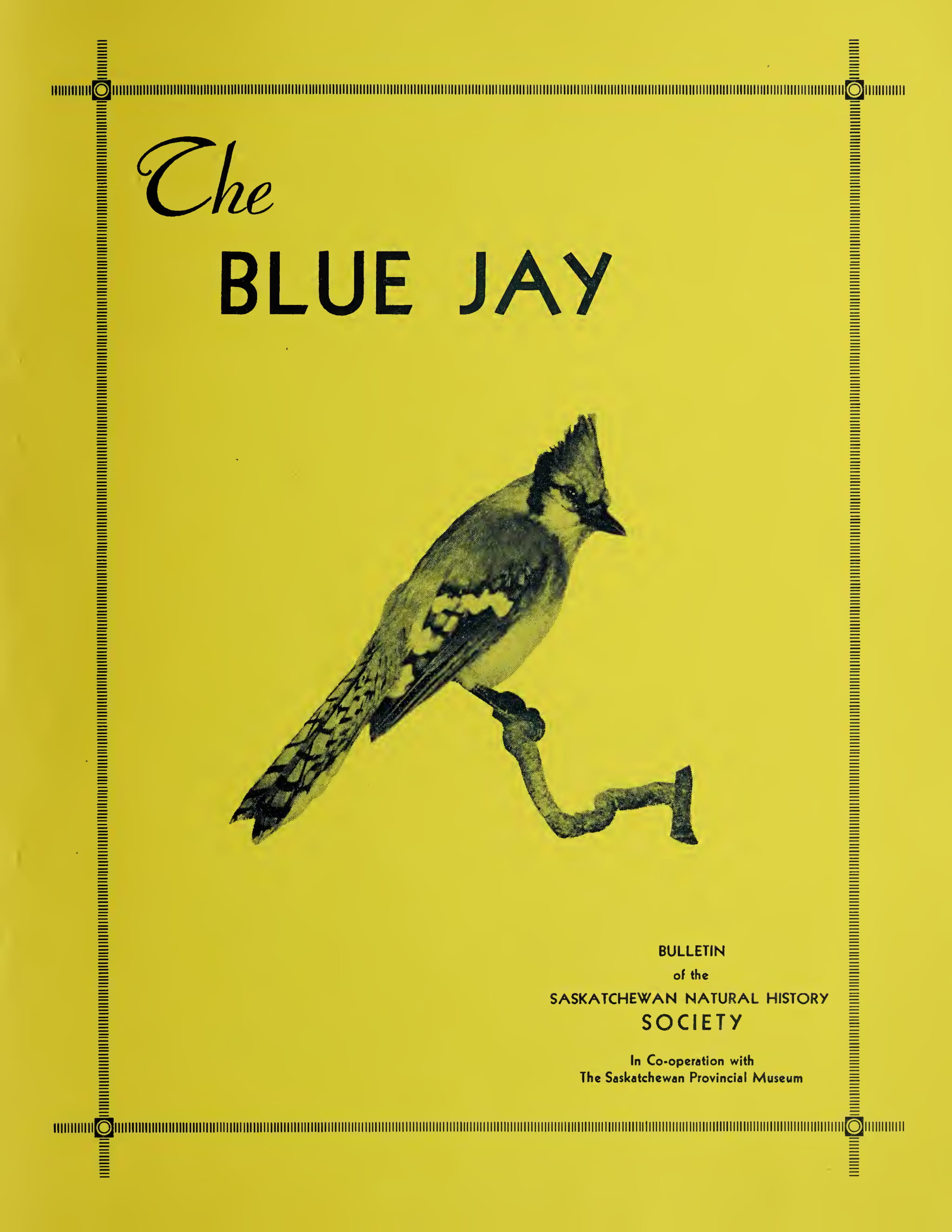 Cover Image for Spring 1949