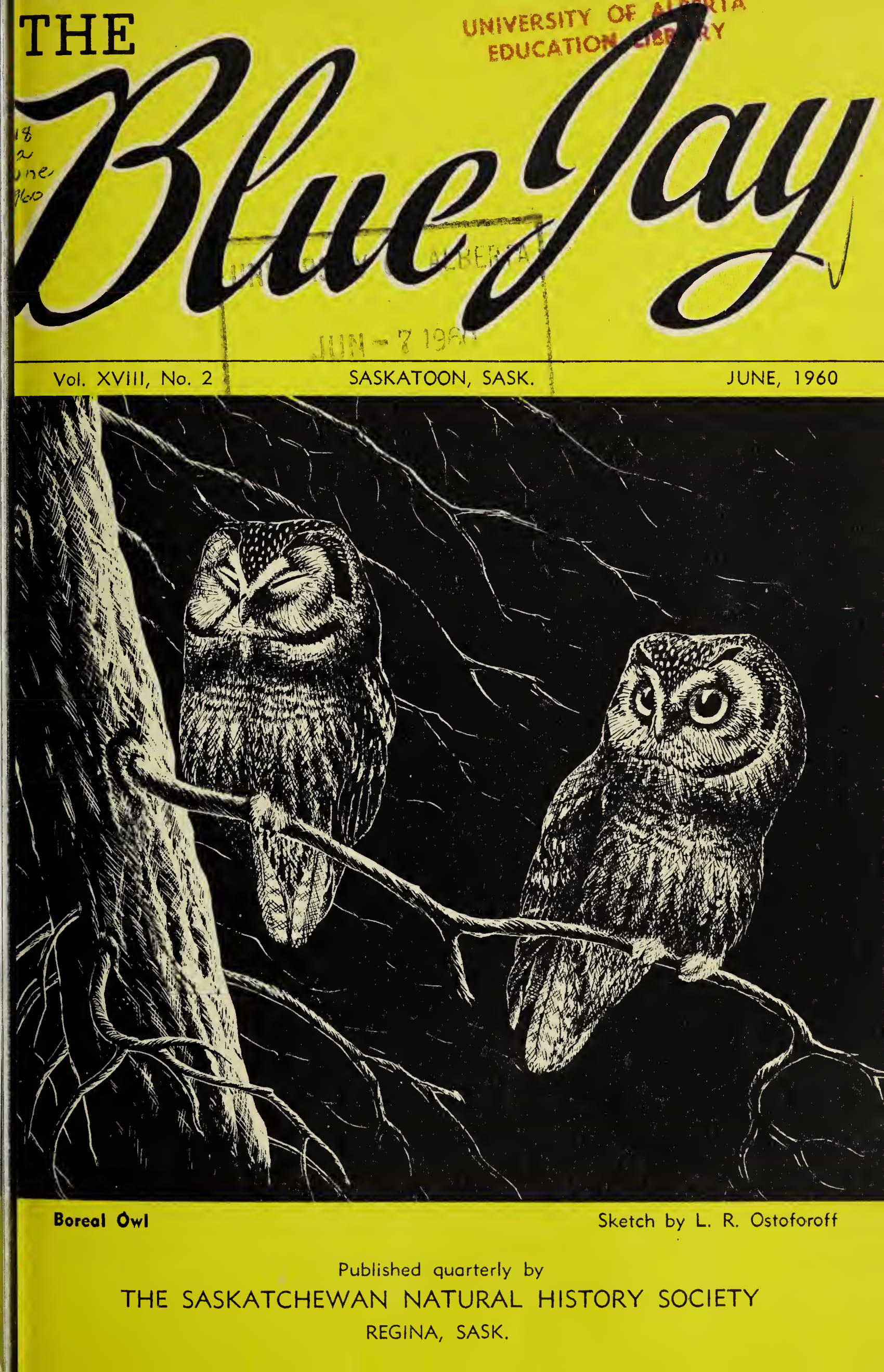 Blue Jay cover June 1960