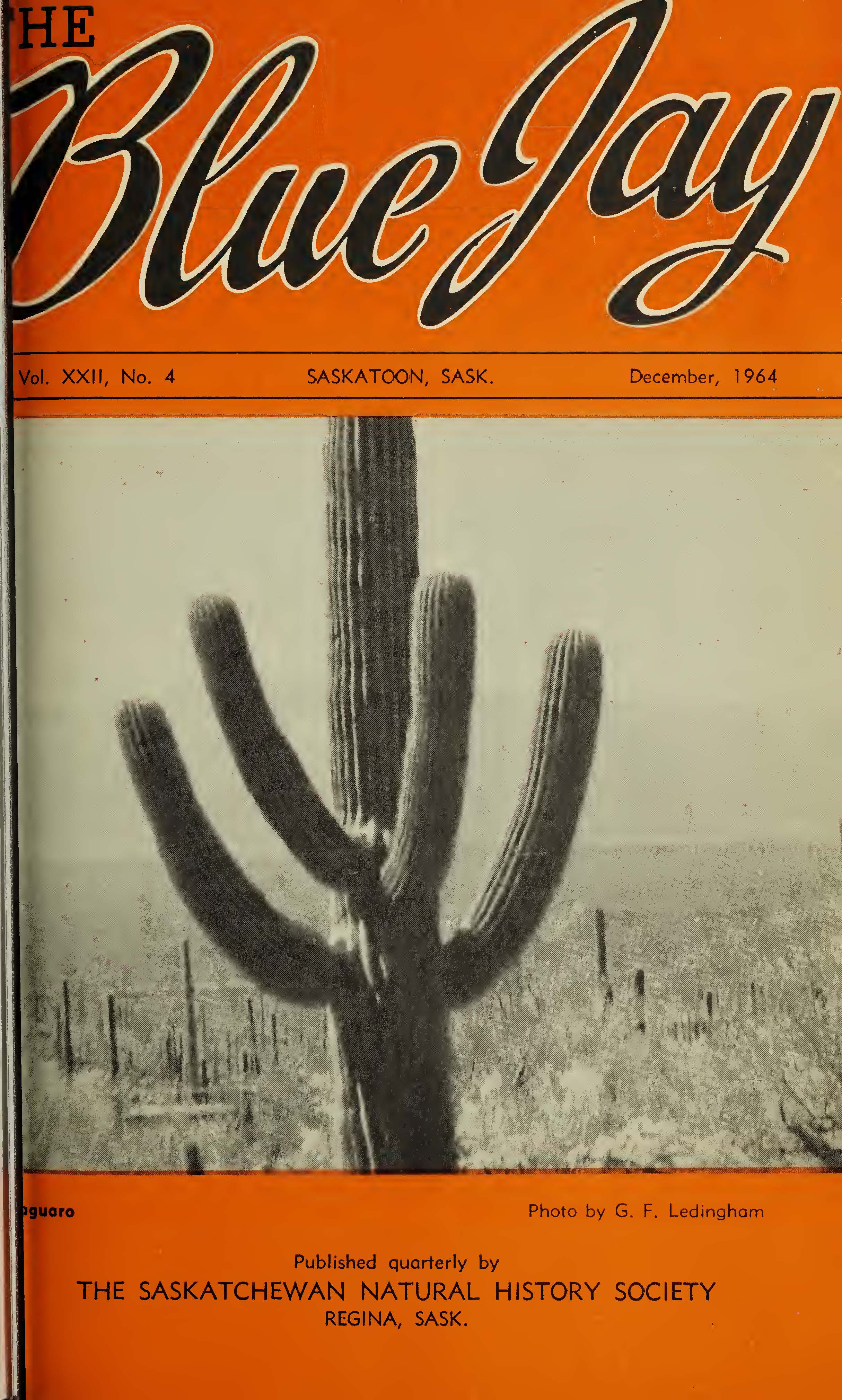					View Vol. 22 No. 4 (1964): December 1964
				