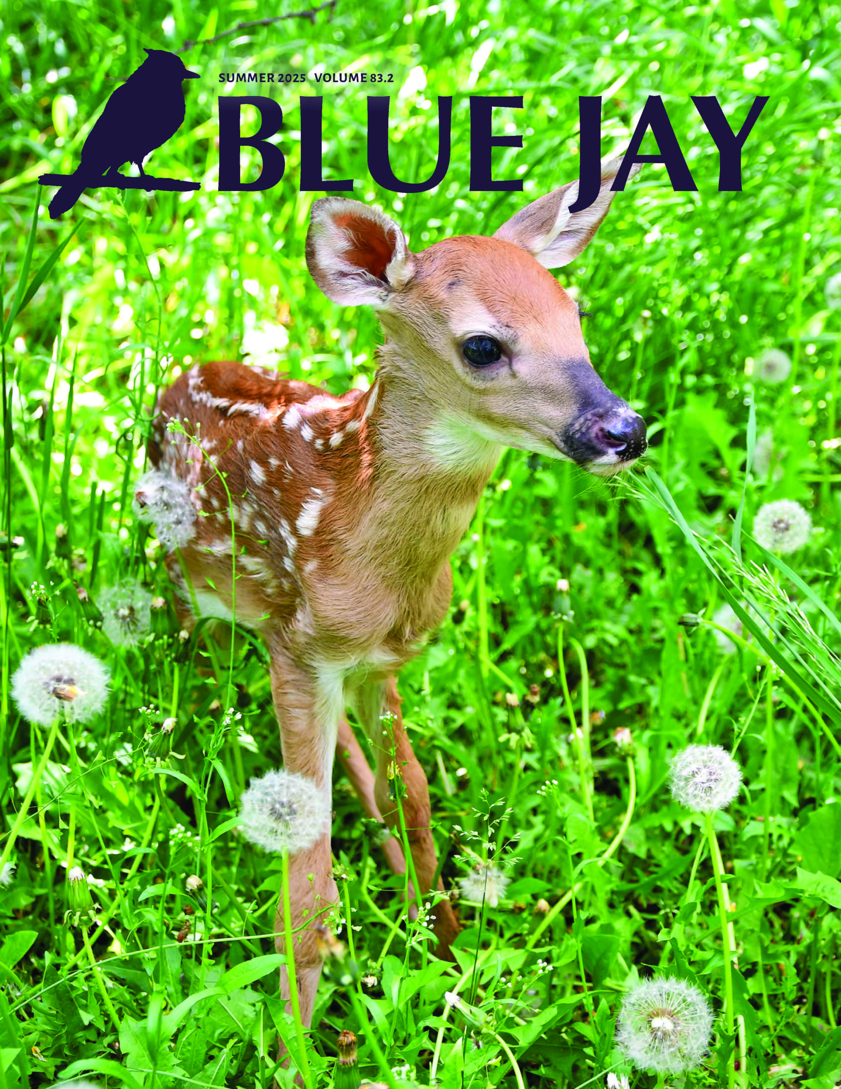 					View Vol. 83 No. 2 (2025): Summer 2025
				