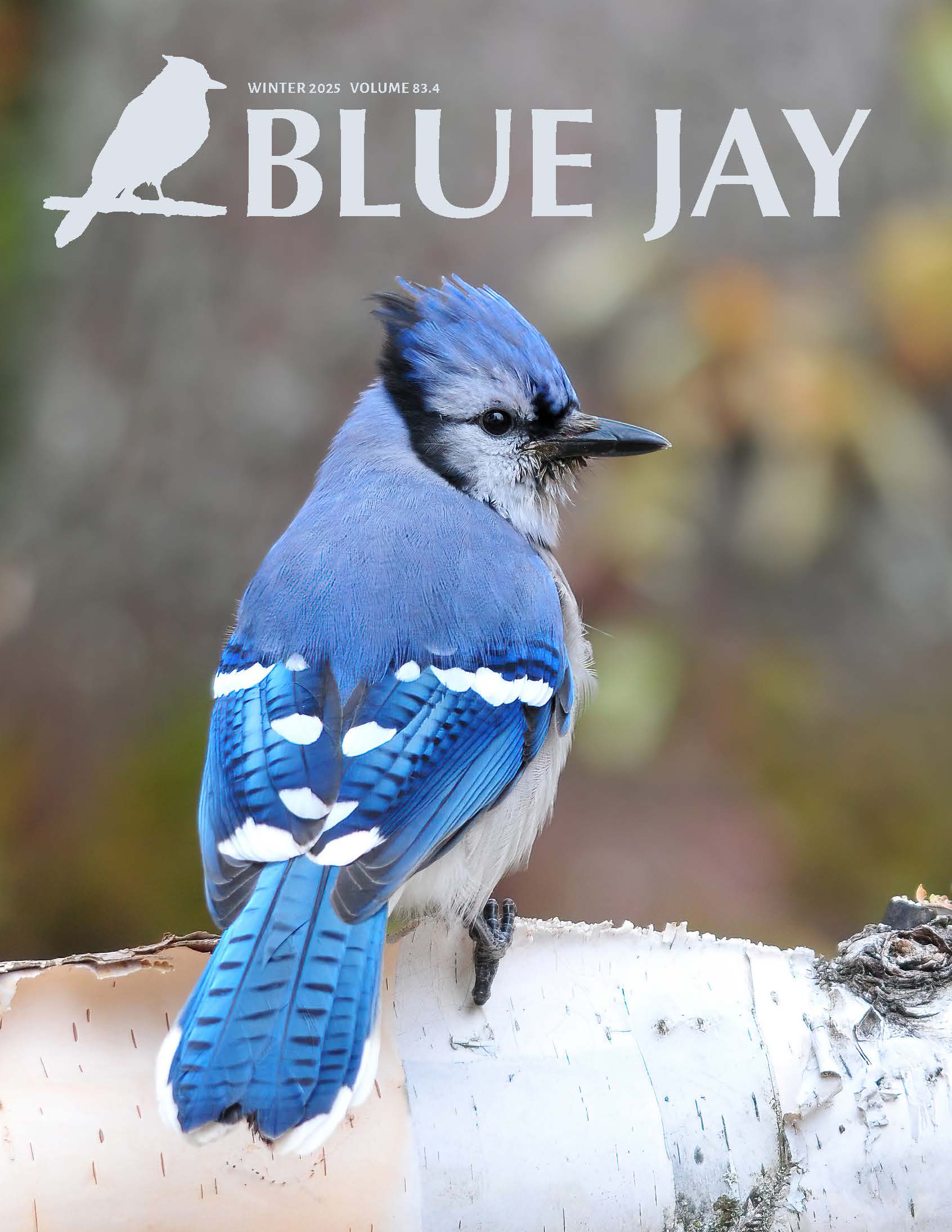 					View Vol. 83 No. 4 (2025): Winter 2025
				